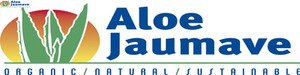 Aloe Jaumave Aloe Jaumave